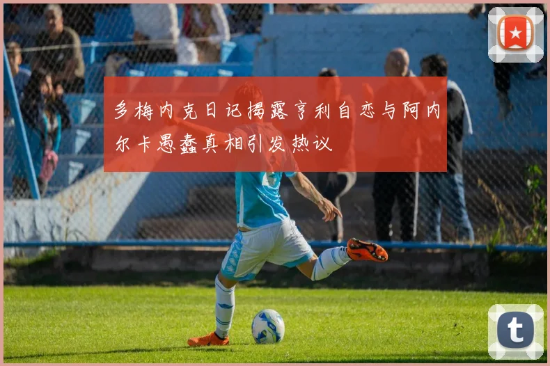 多梅内克日记揭露亨利自恋与阿内尔卡愚蠢真相引发热议